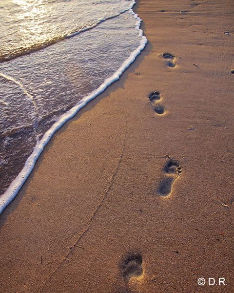 pas sur le sable traces-pas-sur-sable-freely